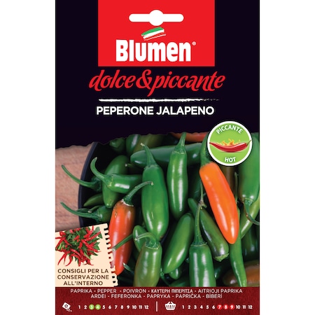 Blumen prĂ©mium erĆs paprika magvak, Dolce e Piccante kollekciĂł, Jalapeno fajta